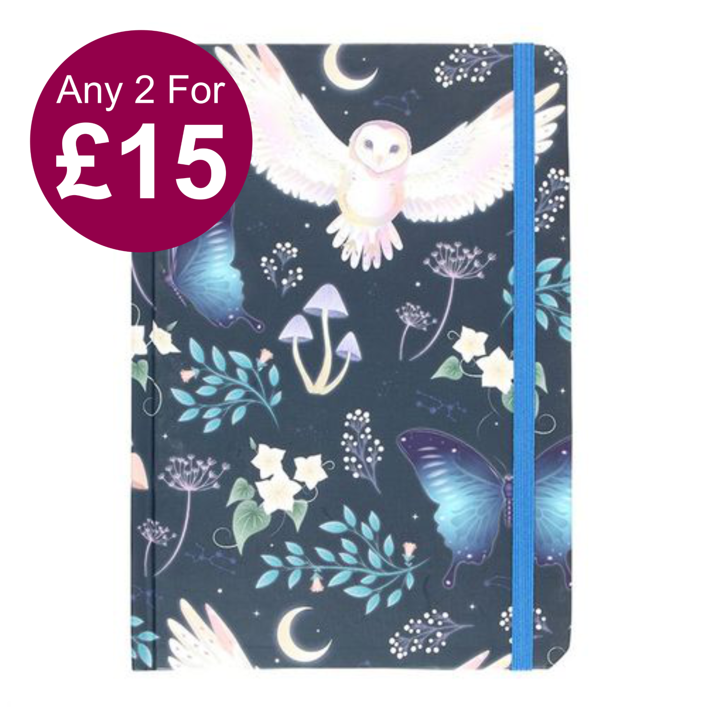Night Flight Owl A5 Notebook