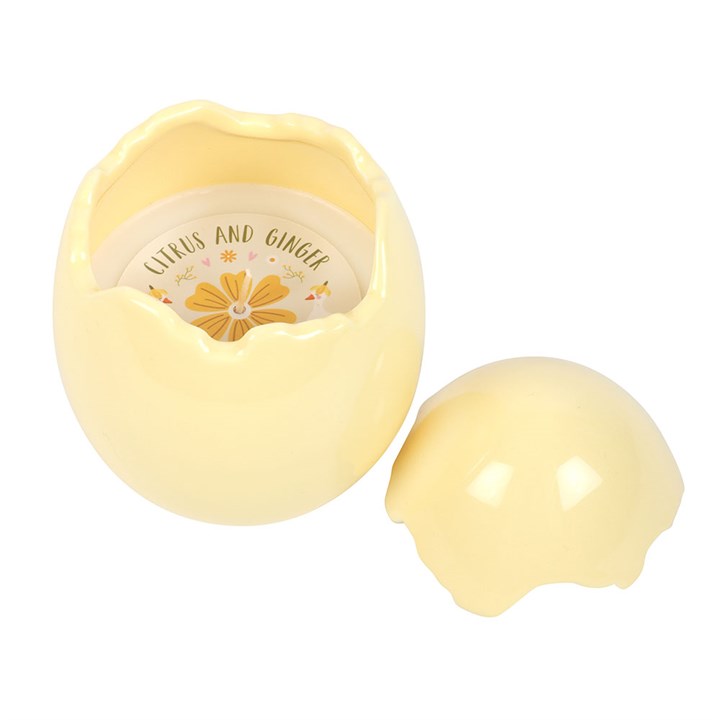 Citrus & Ginger Egg Shaped Scented Candle