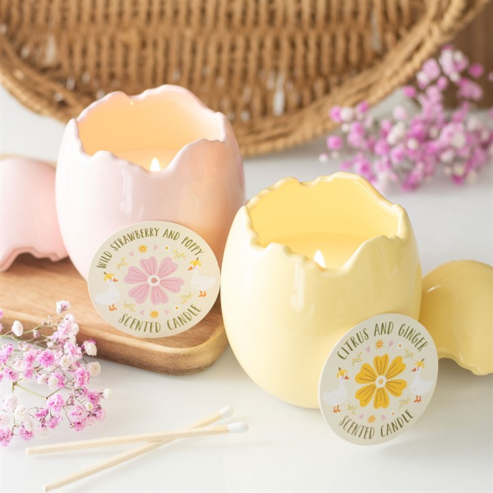 Citrus & Ginger Egg Shaped Scented Candle
