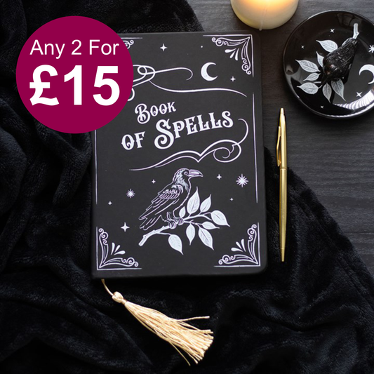 Mystic Raven Book of Spells A5 Notebook