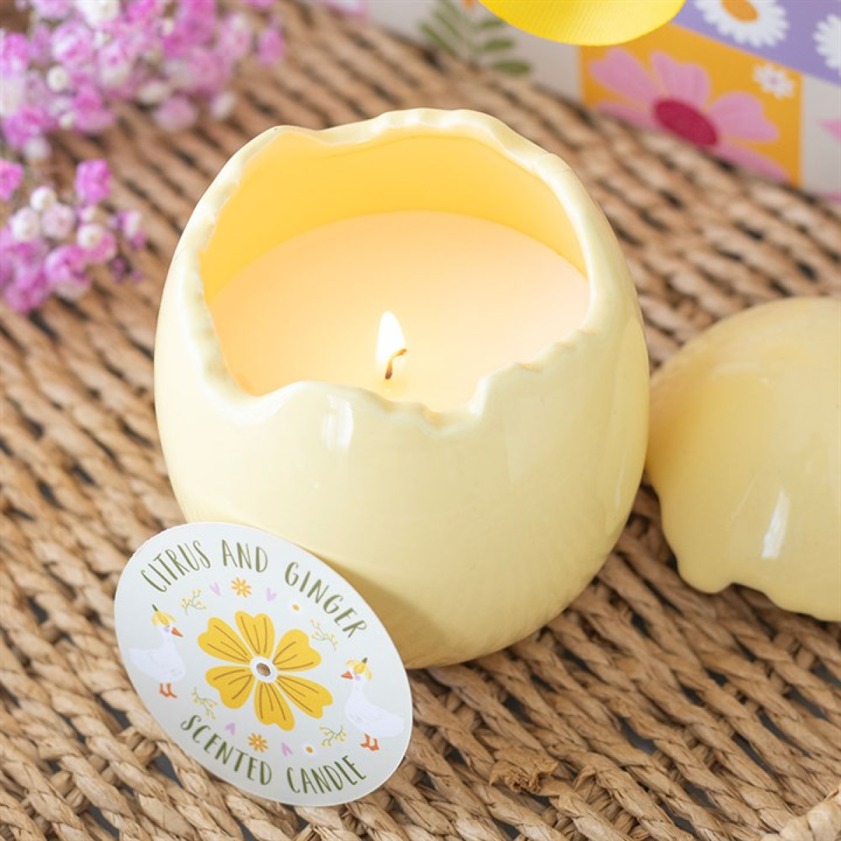 Citrus & Ginger Egg Shaped Scented Candle